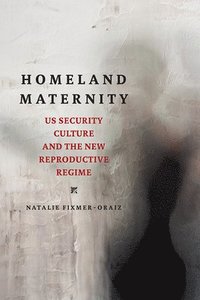bokomslag Homeland Maternity