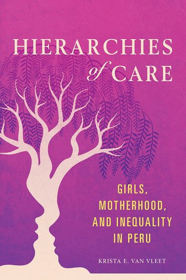 Krista E Van Vleet - Hierarchies of Care, Inbunden