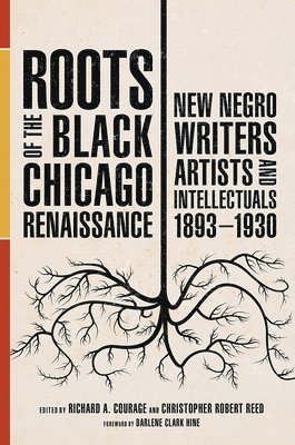 bokomslag Roots of the Black Chicago Renaissance