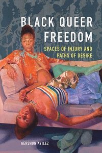 bokomslag Black Queer Freedom