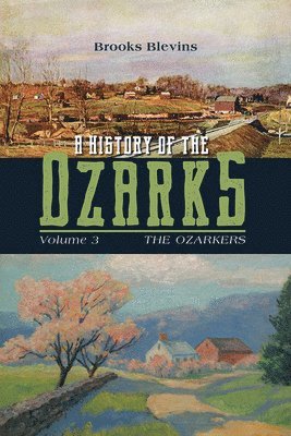 bokomslag A History of the Ozarks, Volume 3