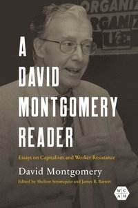 bokomslag A David Montgomery Reader