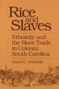 Rice and Slaves 1