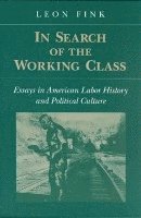 bokomslag In SEARCH of WORKING CLASS