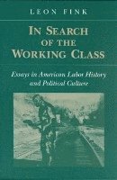 IN SEARCH OF WORKING CLASS 1