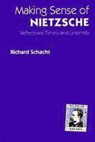 bokomslag Making Sense of Nietzsche