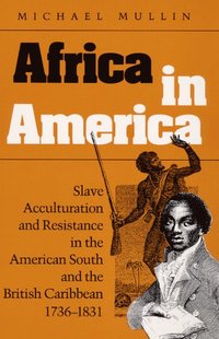 bokomslag Africa in America