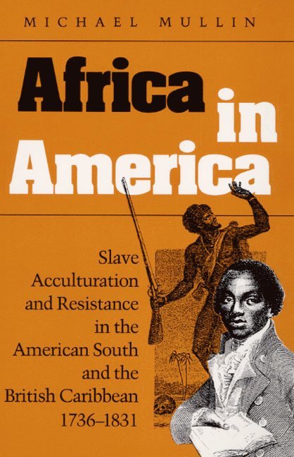 Africa in America 1