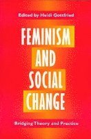 bokomslag Feminism and Social Change
