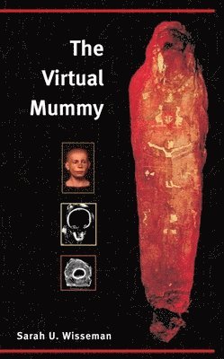 bokomslag The Virtual Mummy