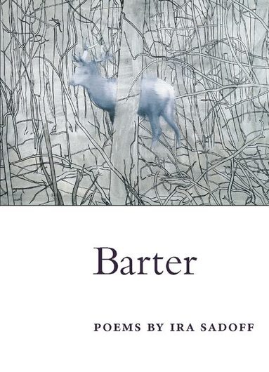 Ira Sadoff - Barter, Häftad