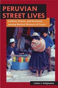 bokomslag Peruvian Street Lives