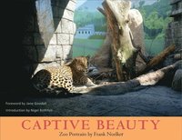 bokomslag Captive Beauty