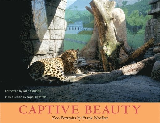 Captive Beauty 1