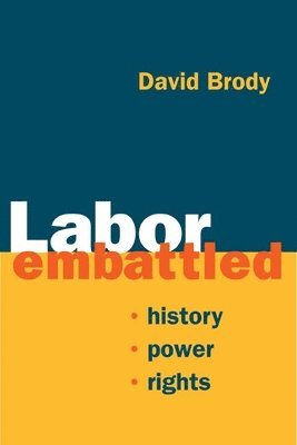 bokomslag Labor Embattled