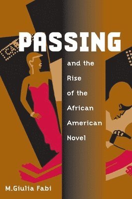bokomslag Passing and the Rise of the African American Novel