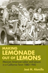 bokomslag Making Lemonade out of Lemons