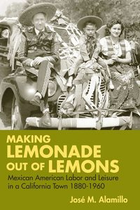 bokomslag Making Lemonade Out of Lemons