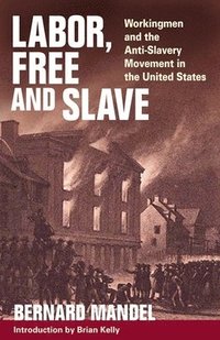 bokomslag Labor, Free and Slave
