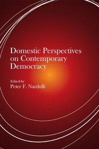 bokomslag Domestic Perspectives on Contemporary Democracy