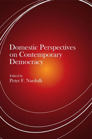 Peter F Nardulli - Domestic Perspectives on Contemporary Democracy, Häftad