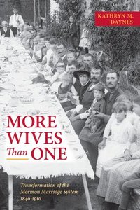 bokomslag More Wives Than One