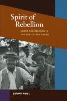 Spirit of Rebellion