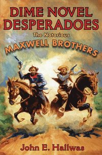 bokomslag Dime Novel Desperadoes