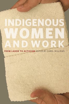 bokomslag Indigenous Women and Work