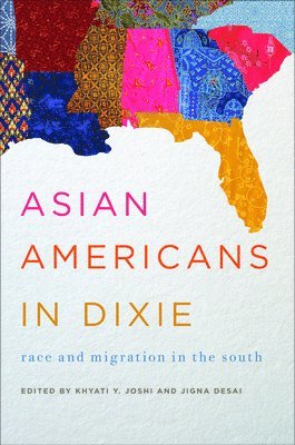 bokomslag Asian Americans in Dixie