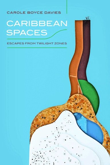 Carole Boyce Davies - Caribbean Spaces, Häftad