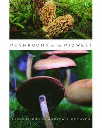 bokomslag Mushrooms of the Midwest