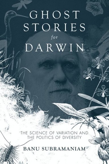 bokomslag Ghost Stories for Darwin