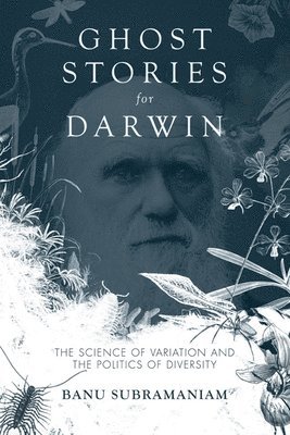 Ghost Stories for Darwin 1