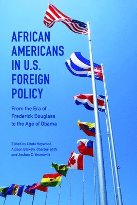 Linda Heywood, Allison Blakely, Charles Stith, Joshua C. Yesnowitz - African Americans in U.S. Foreign Policy, Häftad