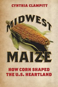 bokomslag Midwest Maize
