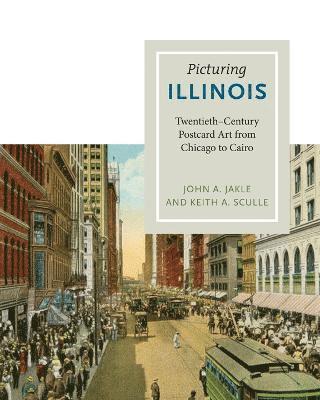 bokomslag Picturing Illinois