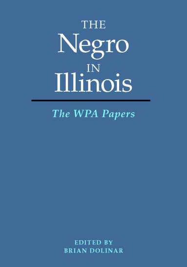bokomslag Negro in Illinois