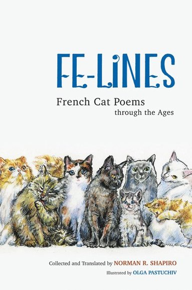 bokomslag Fe-Lines
