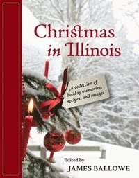 bokomslag Christmas in Illinois