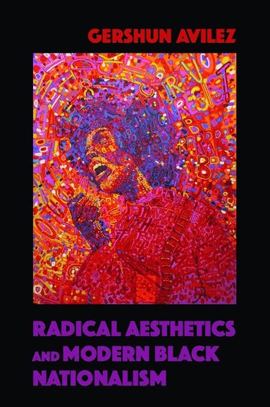 bokomslag Radical Aesthetics and Modern Black Nationalism