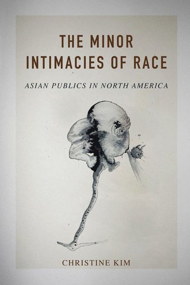 bokomslag Minor Intimacies of Race