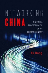 bokomslag Networking China