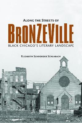 Along the Streets of Bronzeville 1