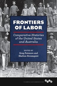 bokomslag Frontiers of Labor