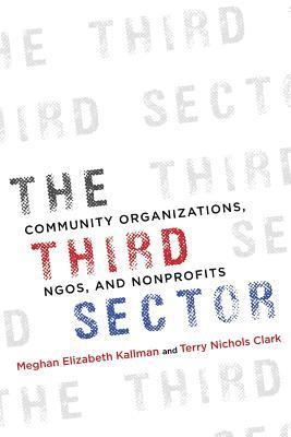 The Third Sector 1