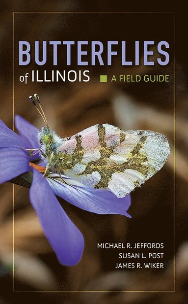 bokomslag Butterflies of Illinois