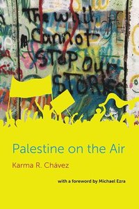 bokomslag Palestine on the Air