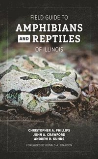 bokomslag Field Guide to Amphibians and Reptiles of Illinois