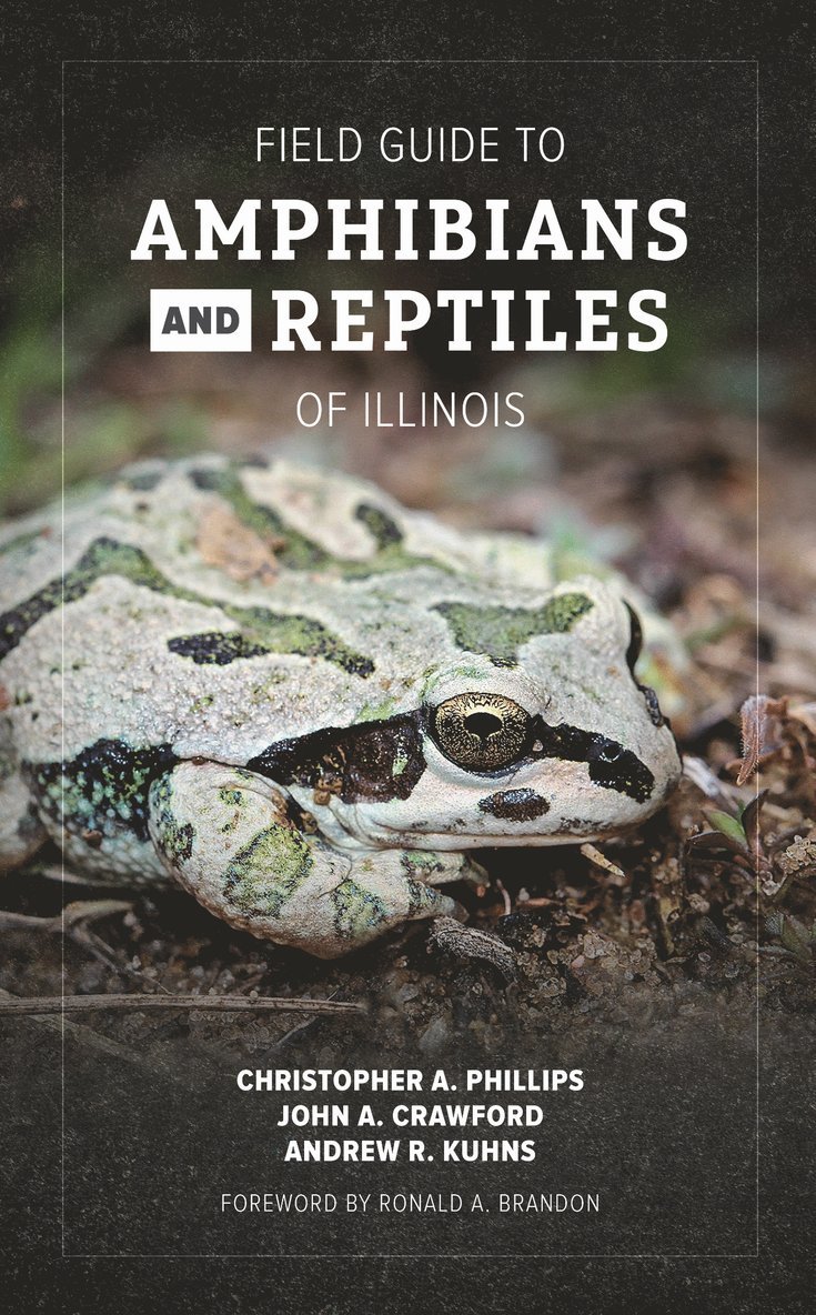 Christopher A. Phillips, John A. Crawford, Andrew R. Kuhns, Christopher A Phillips, John A Crawford, Andrew R Kuhns - Field Guide to Amphibians and Reptiles of Illinois, Häftad